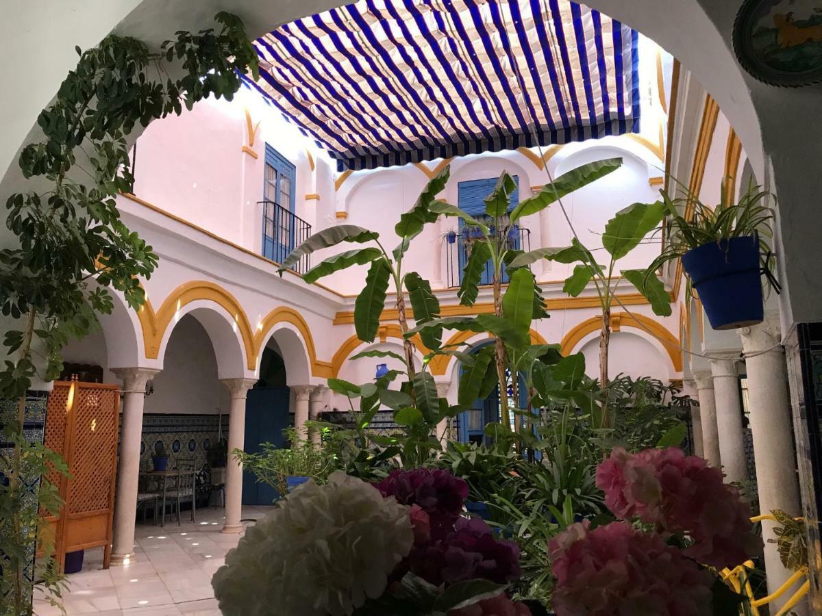 La Casa En El Centro *